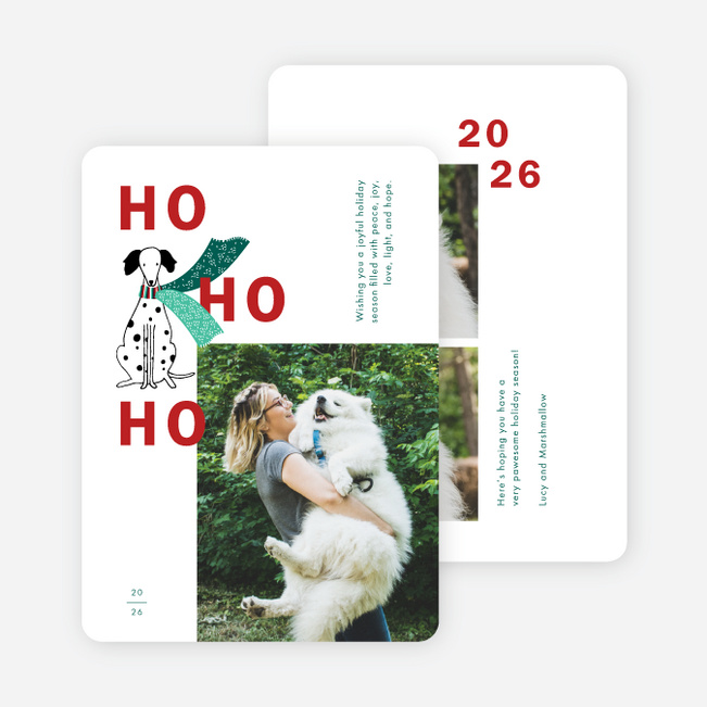 Pawesome Scarf Holiday Cards and Invitations - Multi