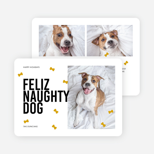 Feliz Naughty Pets Personalized Christmas Cards - White