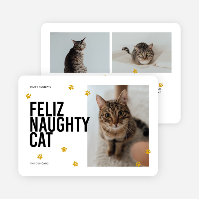 Feliz Naughty Pets Personalized Christmas Cards - White
