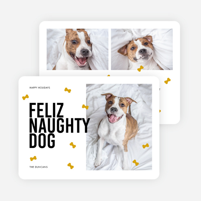 Feliz Naughty Pets Personalized Christmas Cards - White