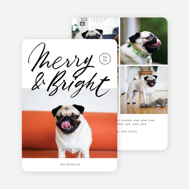 Merry Times Holiday Cards - Black