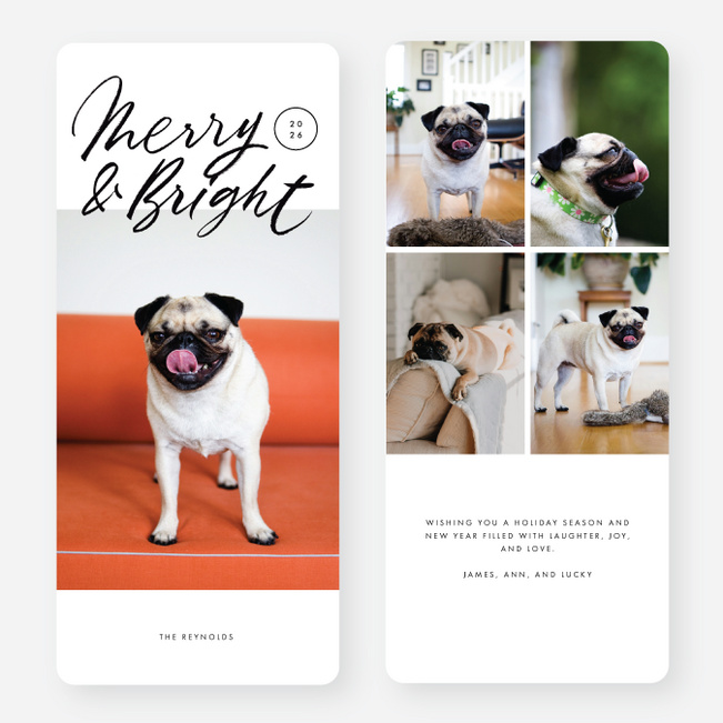 Merry Times Holiday Cards - Black