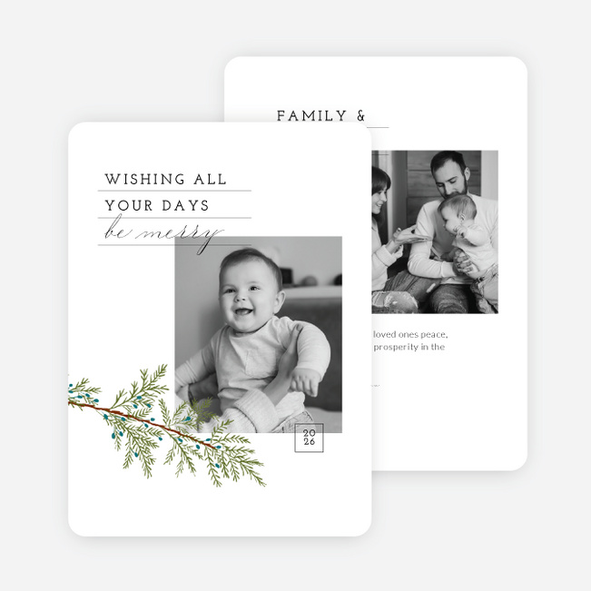 Pine & Dandy Christmas Cards - White