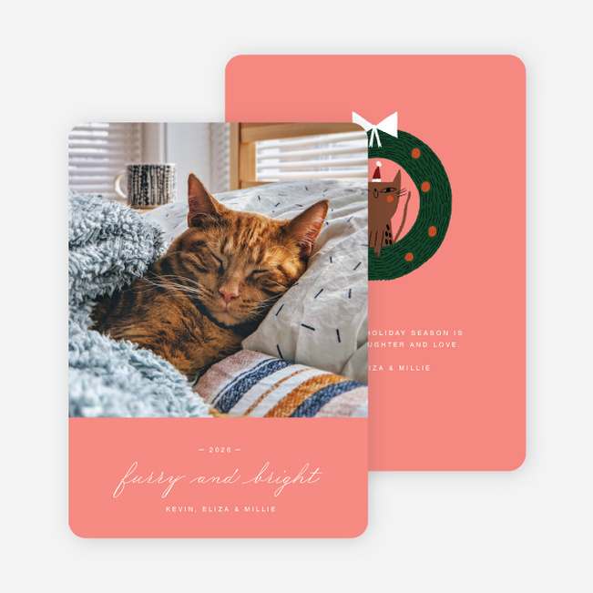 Feline Fine Pet Holiday Cards - Pink