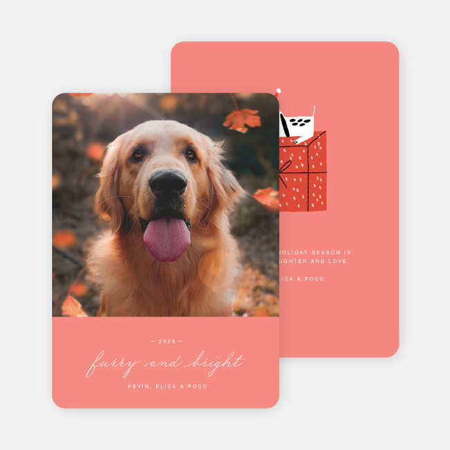 Puppy Present Pet Holiday Cards - Pink