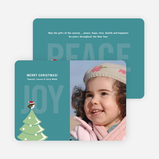 Not just For the Birds Holiday Cards - Teal