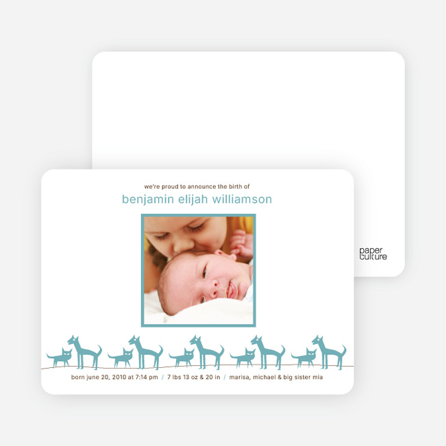 Cats and Dogs Photo Baby Announcement - Steel Blue