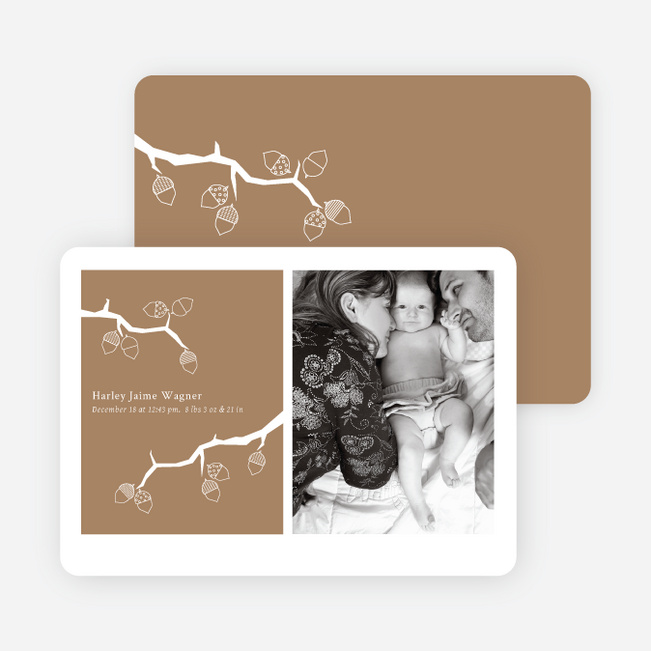 Holiday Birth Announcements: Expanding the Family Tree - Copper