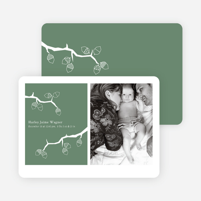 Holiday Birth Announcements: Expanding the Family Tree - Pistachio