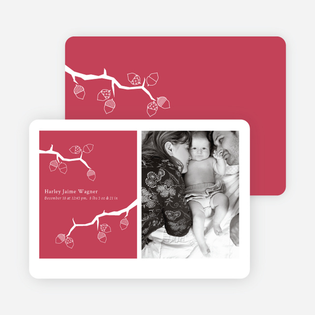 Holiday Birth Announcements: Expanding the Family Tree - Pomegranate