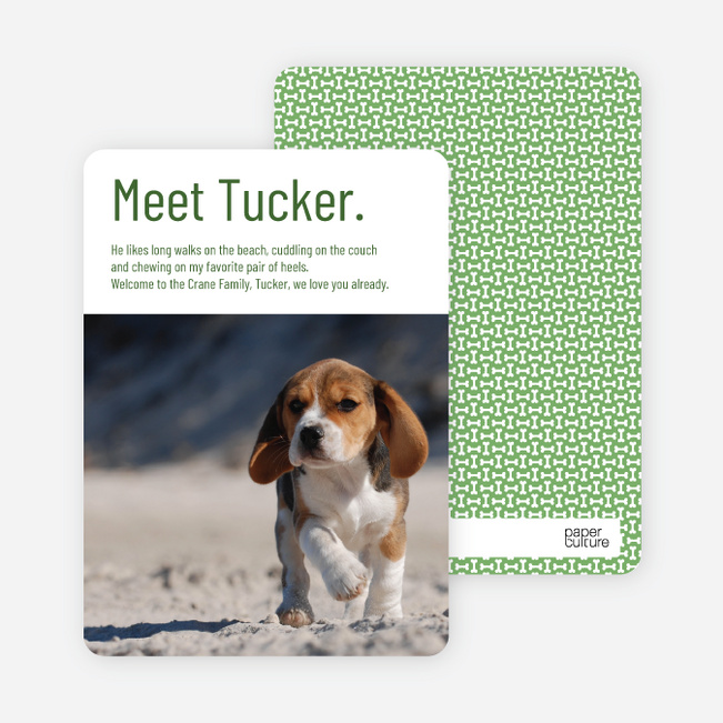 Dog Story Puppy Photo Cards - Green