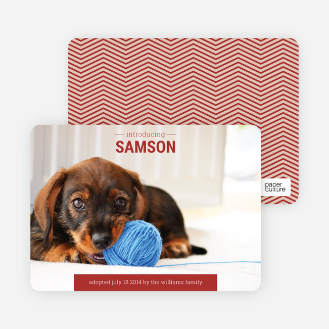 Puppy Announcements - Blue