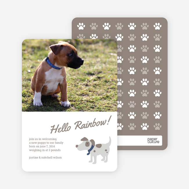 Puppy Dog Paws Pet Cards - Brown