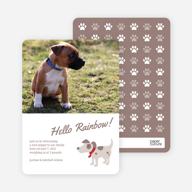 Puppy Dog Paws Pet Cards - Red