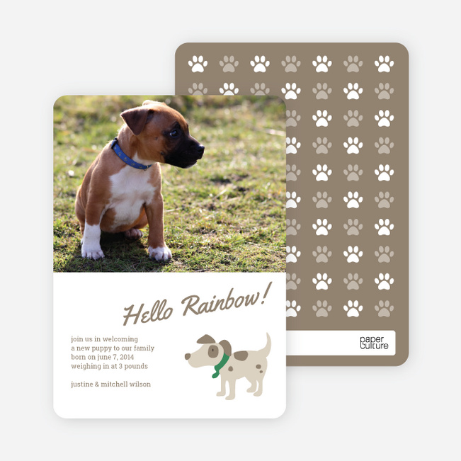 Puppy Dog Paws Pet Cards - Green