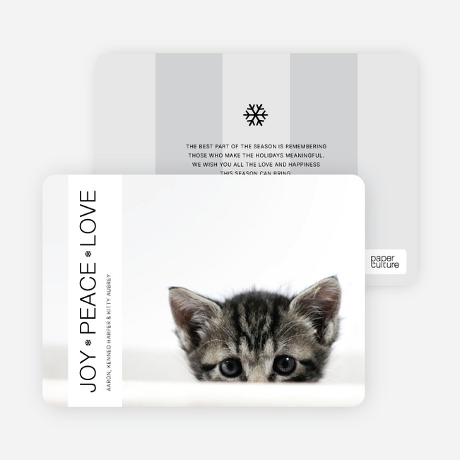 Snowflake Banner Holiday Photo Cards - White