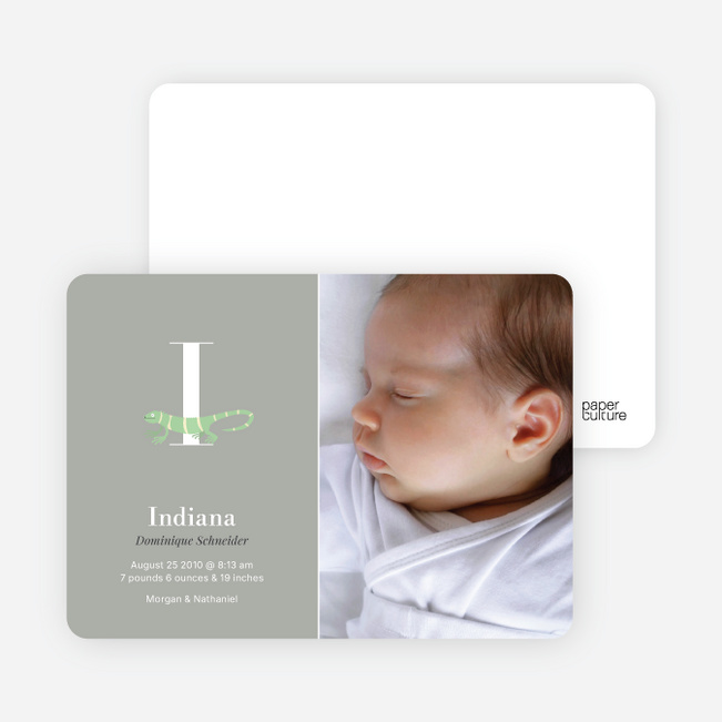 Animal Monogram Series Letter I: Iguana - Warm Gray
