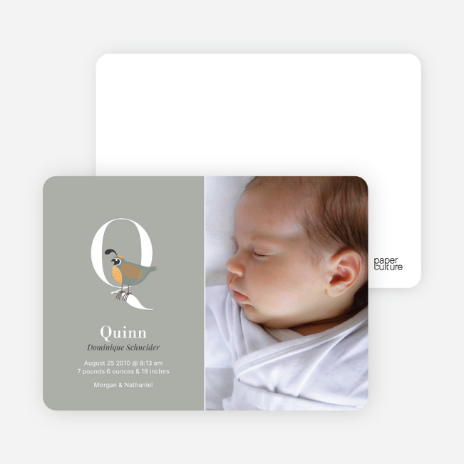 Animal Monogram Series Letter Q: Quail - Warm Gray