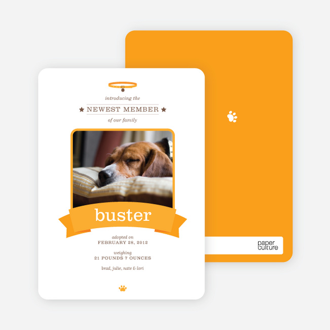 Banner Announcement Dog Photo Cards - Orange