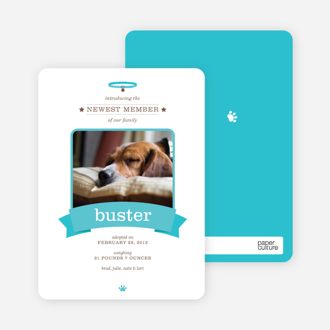 Banner Announcement Dog Photo Cards - Blue