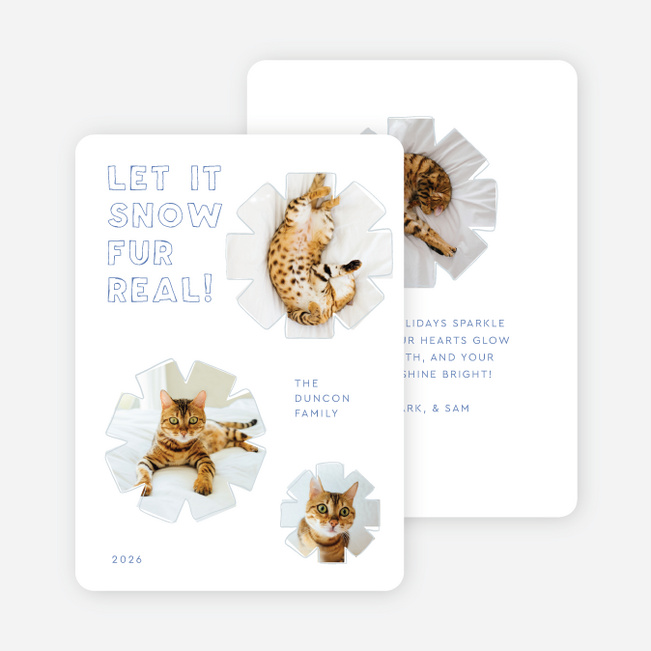 Fur Real Flurries Holiday Cards and Invitations - Blue