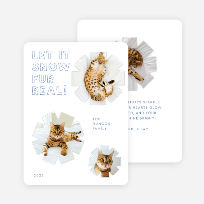 Fur Real Flurries Holiday Cards and Invitations - Blue
